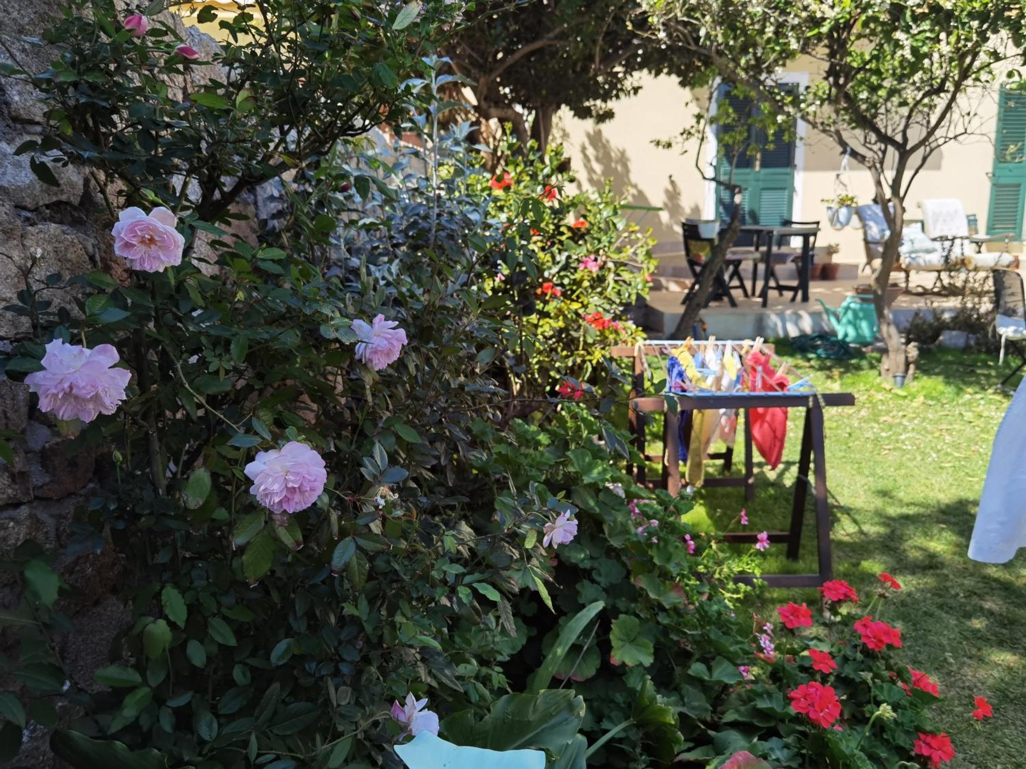 Il Giardino Di Tatiana Rooms & Breakfast La Maddalena  Habitación foto