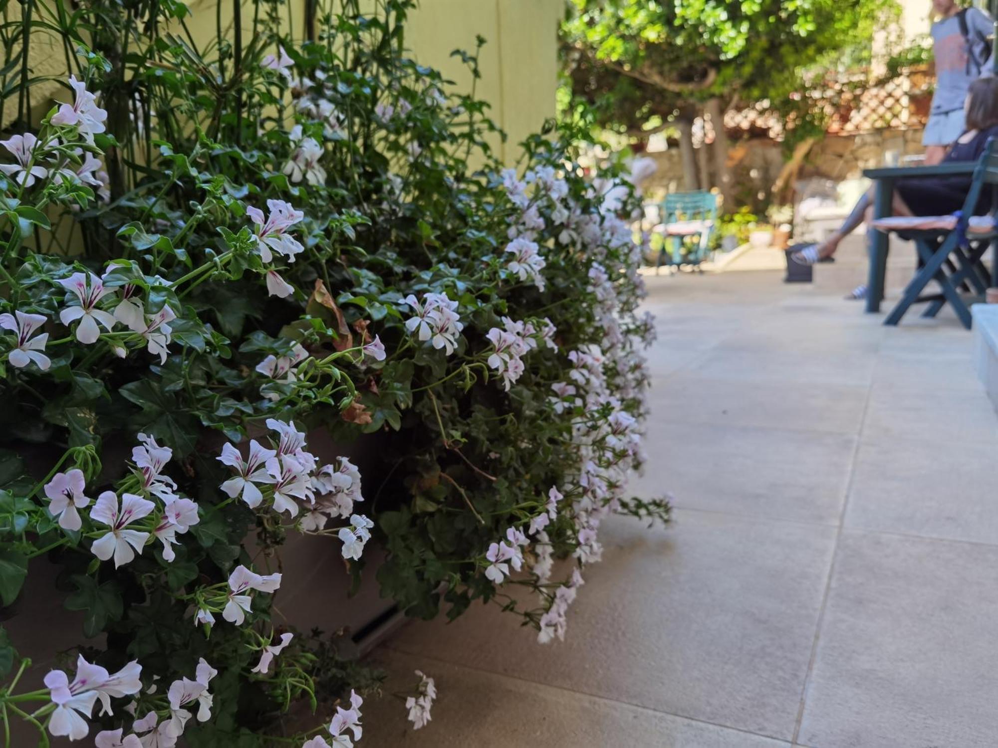 Il Giardino Di Tatiana Rooms & Breakfast La Maddalena  Habitación foto